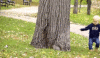 round and round.gif