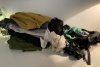IMG_0767.jpeg