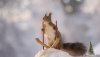 ef0c99d8-8483-4ede-8c35-f8516d85f690-large16x9_coverimagescoverimg33653283.jpg