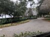 From the porch.jpeg
