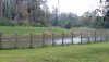 IMG_20200131_164733824.jpg
