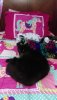 IMAG0049.jpg