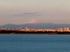 20200203_140353.jpg