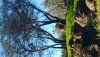 0120200858a_HDR.jpg