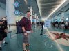 disboards cruise terminal5.jpg