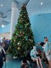 disboards cruise terminal8.jpg