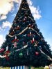 IMG_Feb52020at65422AM.jpg