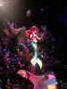 IMG_8015.JPG IMG_8015.JPG