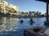 IMG_4511.jpeg