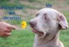 DBBF4F96-123F-4350-969D-A77A875E8621.jpeg