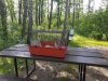 day 1 Nibbles camping.jpg