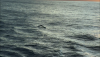 886442CA-9431-49BA-AF24-1BED32BE9B99.png