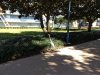 IMG_20200125_105123316.jpg