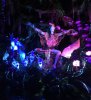 A4CA5745-B334-478B-A7EC-BD22BD4630B8.jpeg