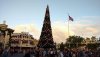 xmas tree sunset.jpg