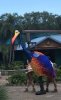 E537B0C8-2436-486C-8C14-679B2A9884E6.jpeg