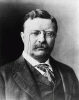 teddy.gif