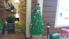 Boardwalk GB tree.jpg