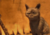e8125710.GIF
