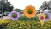 F & G large flowers.jpg