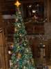 IMG_7680.JPG