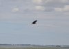 DSC_4050.jpg