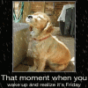 65483A3B-5048-4DB2-859D-7D061DAB4043.gif