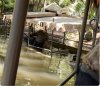 disney-jungle-cruise-boat.jpg