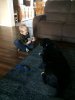 Resized_IMG_06111_43291015220514.jpg