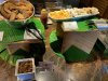 IMG_2959.jpeg
