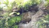 tree of life waterfall 2.jpg