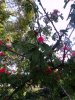 100_0866.JPG