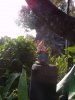 100_0868.JPG