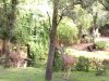 100_0874.JPG