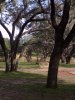 100_0881.JPG