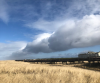 480494