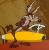 480900