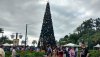 Xmas tree 2019.jpg