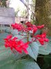 100_0887.JPG