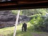 100_0892.JPG