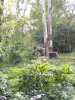 100_0894.JPG