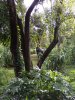 100_0896.JPG