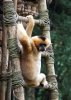 DSC02217.JPG