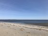 6F713568-E2F6-43A0-91CD-F12F5F3E0CEE.jpeg