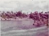 WDW-Jan-1973-20000.jpg