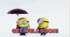 2F20F6D6-37F9-46E7-AD75-FA9DB627B403.gif