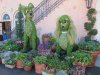 Lady-Tramp-Topiary.jpg