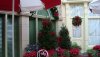 DSC01598 (2).JPG