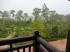 DSC03454.JPG