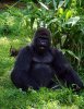 DSC01248.JPG